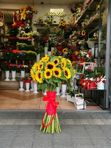 Kwiaciarnia "Azalia" Aleje 1 Maja 22A